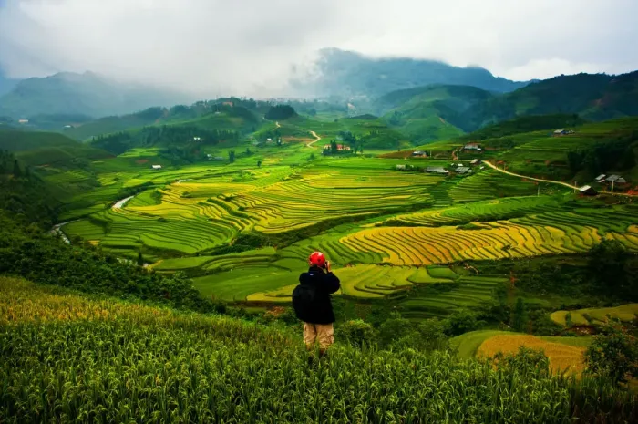 Framed Print : Sapa rice terrace