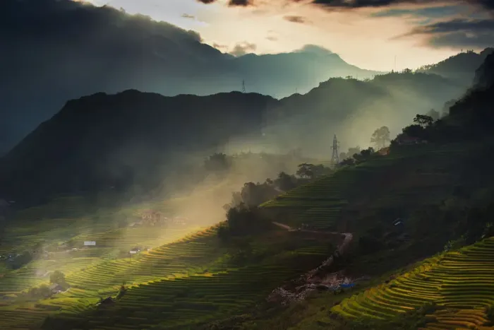 Framed Print : Sapa rice terrace, Vietnam Framed Print : Sapa rice terrace, Vietnam