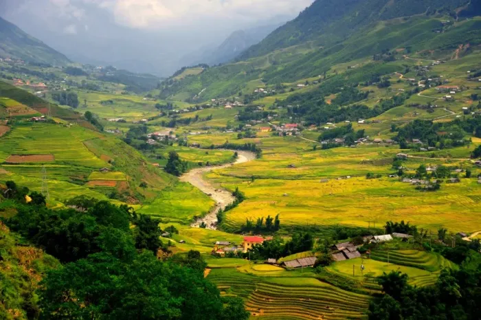 Framed Print : Sapa rice terrace, Vietnam