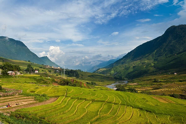 Sapa rice terrace, Vietnam