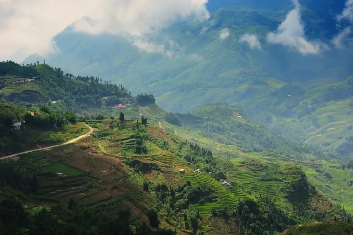 Framed Print : Sapa terraced rice field Framed Print : Sapa terraced rice field