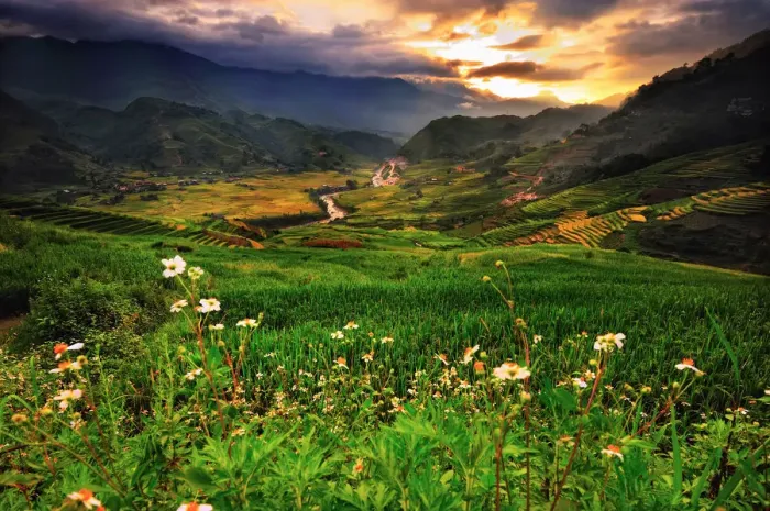 Framed Print : Sapa, Vietnam