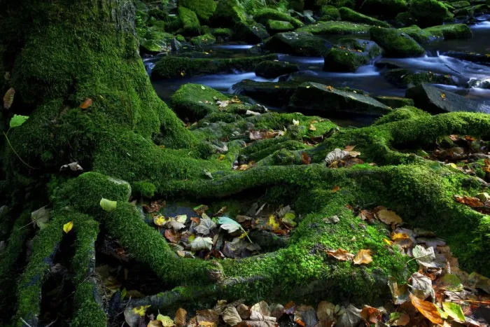 Framed Print : Sausbachklamm gorge, Bavarian Forest, Bavaria, Germany, Europe Framed Print : Sausbachklamm gorge, Bavarian Forest, Bavaria, Germany, Europe