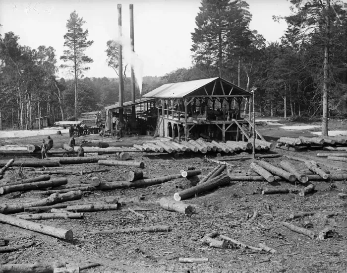 Framed Print : Saw Mill. July 1916: Steam saw mills at Virginia Water Framed Print : Saw Mill. July 1916: Steam saw mills at Virginia Water