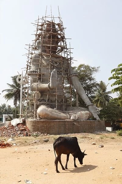 Scaffolded Hindu statue, Nanjangud, Karnataka, South India, India, South Asia, Asia