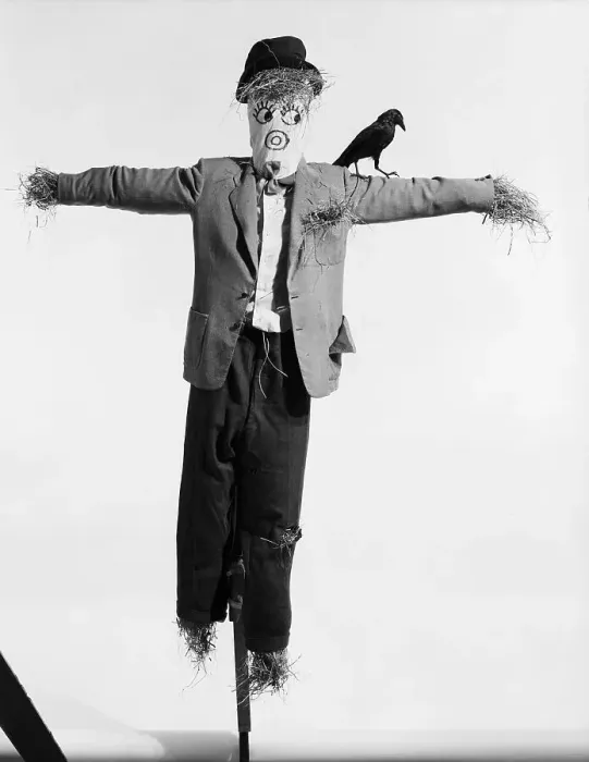 Framed Print : Scarecrow with Crow on His Shoulder Framed Print : Scarecrow with Crow on His Shoulder