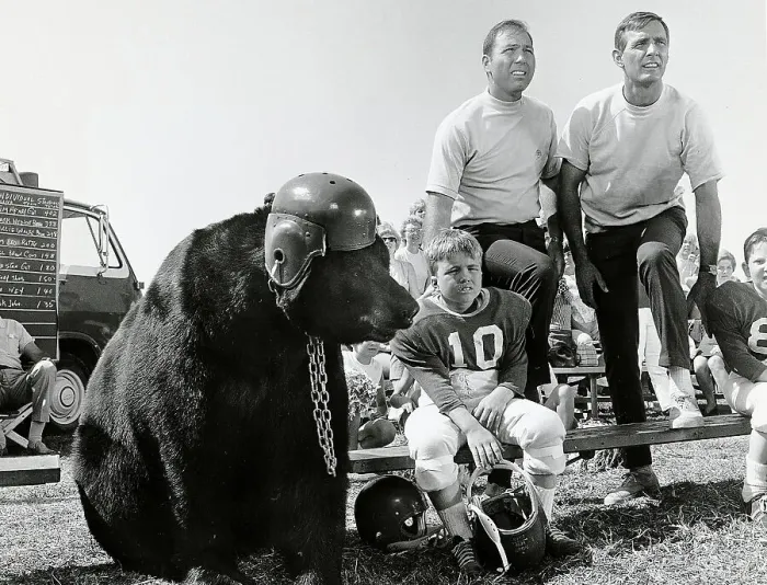 Framed Print : Scene from Gentle Ben