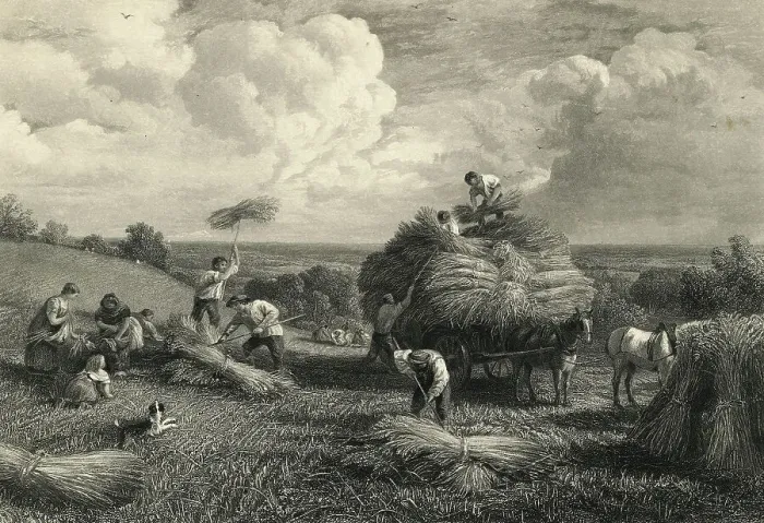 Framed Print : Scene of Labour with Farm Workers in The Fields Framed Print : Scene of Labour with Farm Workers in The Fields