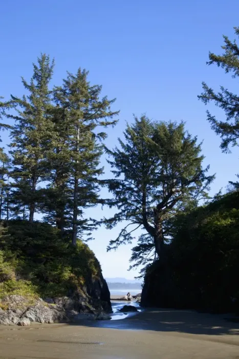 Framed Print : Scenery At Long Beach In Pacific Rim National Park Near Tofino; British Columbia Canada