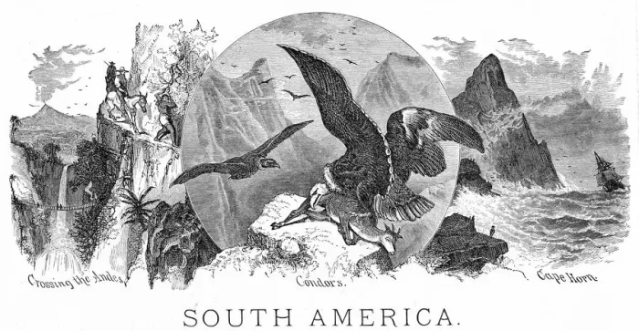 Framed Print : Scenes form South America engraving 1898