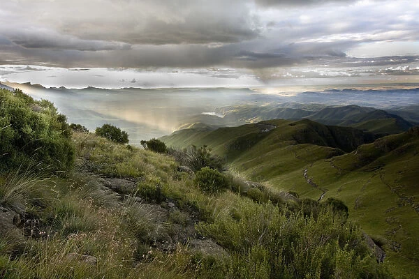 The scenic Amphitheater hiking trail, Royal Natal National Park, KwaZulu-Natal, South Africa