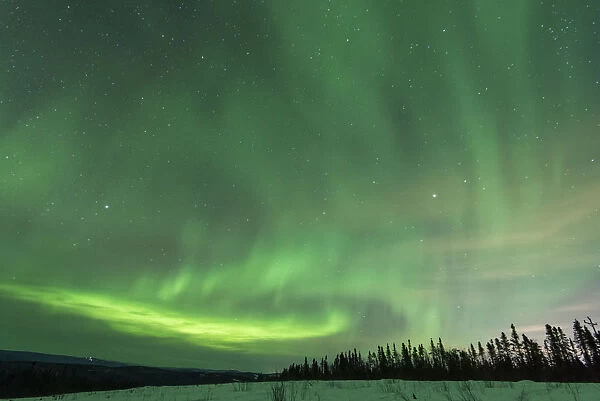 Scenic landscape with Aurora Borealis, Fairbanks, Alaska, USA