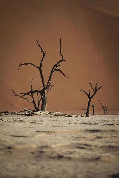 Scenic landscape at Deadvlei, Namib-Naukluft National Park, Hardap Region, Namibia