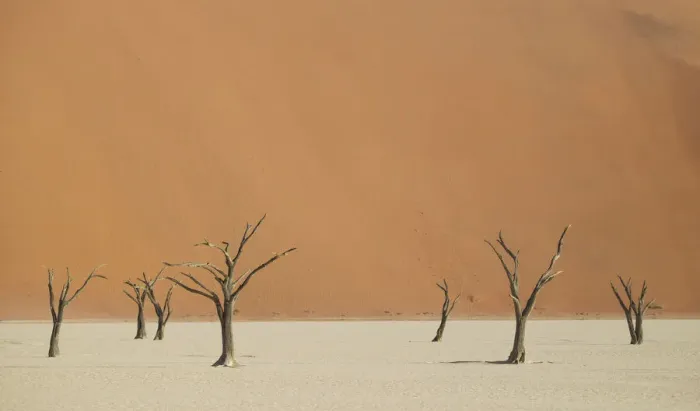 Framed Print : Scenic landscape at Deadvlei, Namib-Naukluft National Park, Hardap Region, Namibia Framed Print : Scenic landscape at Deadvlei, Namib-Naukluft National Park, Hardap Region, Namibia