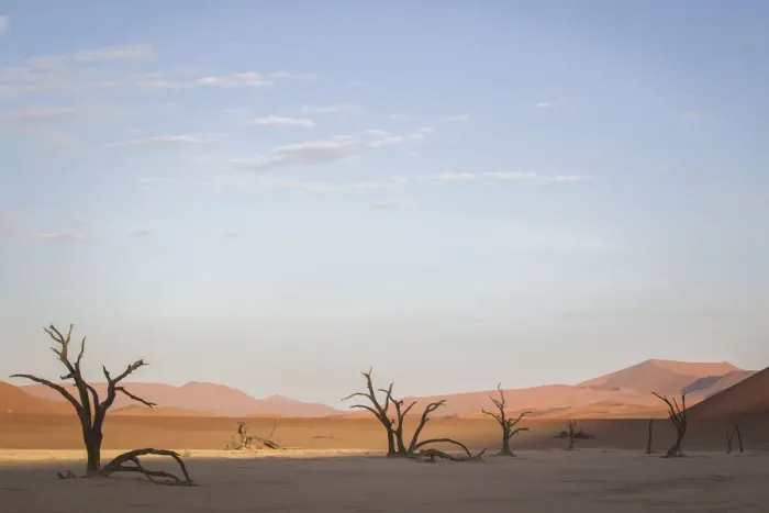 Framed Print : Scenic landscape at Deadvlei, Namib-Naukluft National Park, Hardap Region, Namibia
