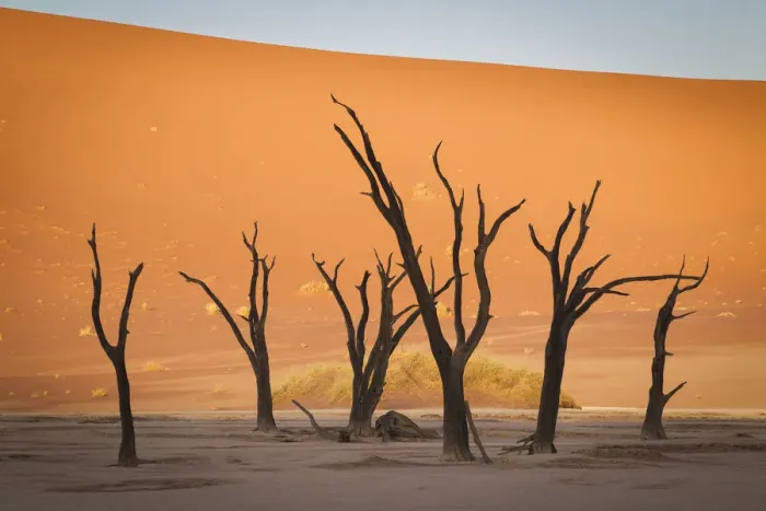 Framed Print : Scenic landscape at Deadvlei, Namib-Naukluft National Park, Hardap Region, Namibia