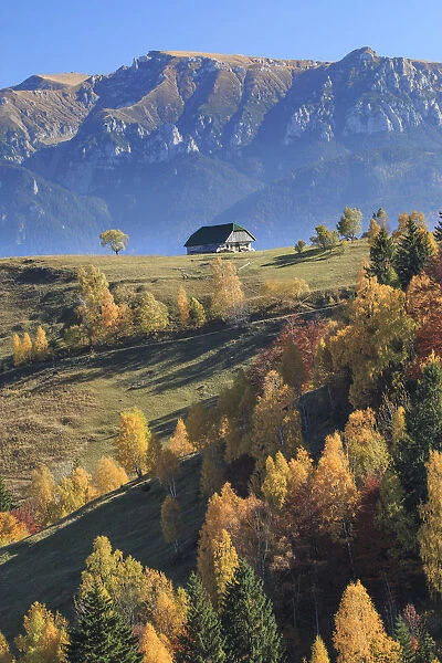 Scenic landscape of mountain range and house, Piatra Craiului National Park, Magura, Carpathian Mountains, Brasov, Brasov County, Transylvania, Romania