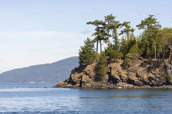 Scenic landscape with Towhead Island, San Juan Islands, Puget Sound, Washington State, USA
