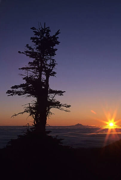 Scenic sunrise near observation point, Hurricane Ridge, Olympic National Park, Washington State, USA