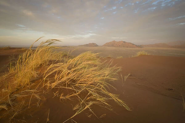 Scenic sunset view of desert landscape from Elim Dune, Namib-Naukluft National Park, Hardap Region, Namibia