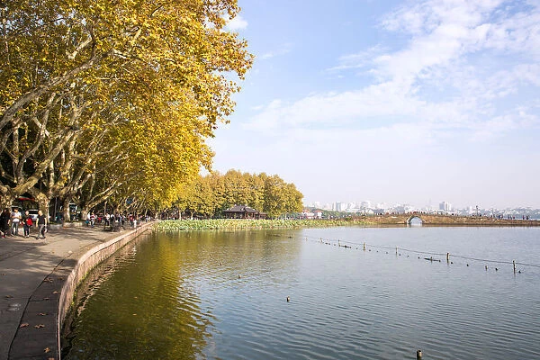 Scenic View Of Beishan road by the West Lake, Hangzhou