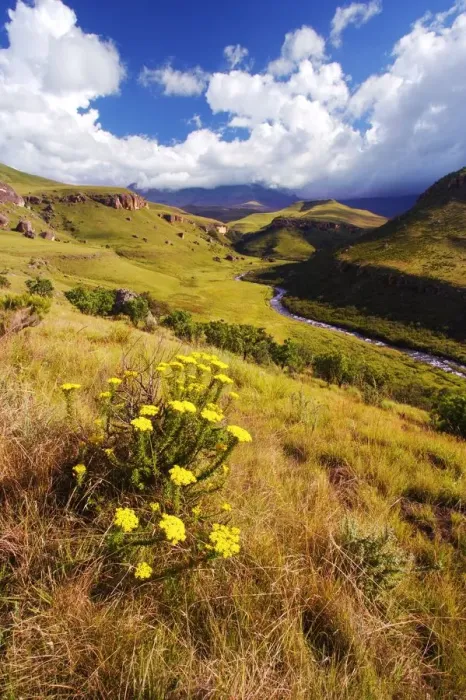 Framed Print : Scenic View of the Bushmans River Valley