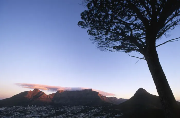 Framed Print : Scenic View of Table Mountain and Lions Head at Dawn Framed Print : Scenic View of Table Mountain and Lions Head at Dawn