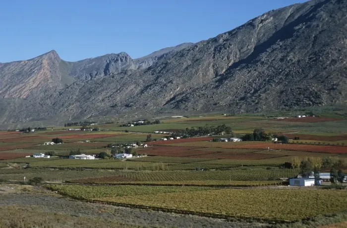 Framed Print : Scenic View of Vineyards Against the Slopes of the Mountains Framed Print : Scenic View of Vineyards Against the Slopes of the Mountains
