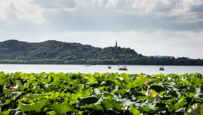 Framed Print : Scenic view of the West Lake in Summer, Hangzhou, Zhejiang, China Framed Print : Scenic view of the West Lake in Summer, Hangzhou, Zhejiang, China