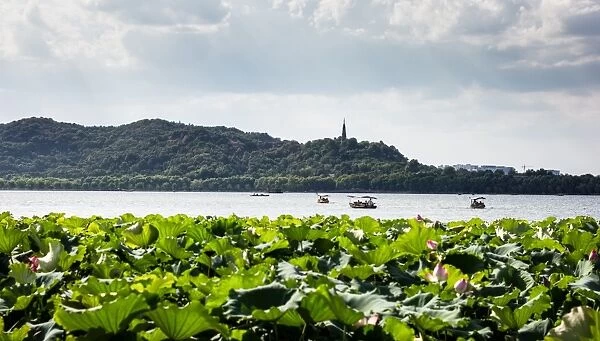 Scenic view of the West Lake in Summer, Hangzhou, Zhejiang, China