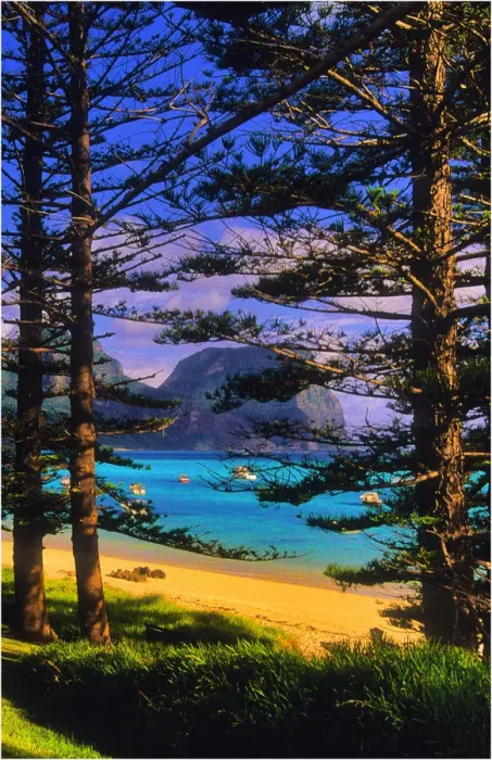 Framed Print : Scenically beautiful and a world heritage designated location, Lord Howe Island lies between the South Pacific ocean and the Tasman sea off the coast of New South Wales, Australia Framed Print : Scenically beautiful and a world heritage designated location, Lord Howe Island lies between the South Pacific ocean and the Tasman sea off the coast of New South Wales, Australia