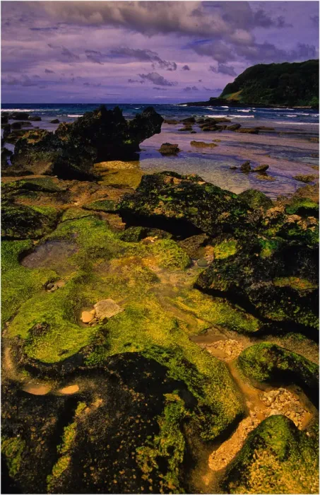 Framed Print : Scenically beautiful and a world heritage designated location, Lord Howe Island lies between the South Pacific ocean and the Tasman sea off the coast of New South Wales, Australia Framed Print : Scenically beautiful and a world heritage designated location, Lord Howe Island lies between the South Pacific ocean and the Tasman sea off the coast of New South Wales, Australia