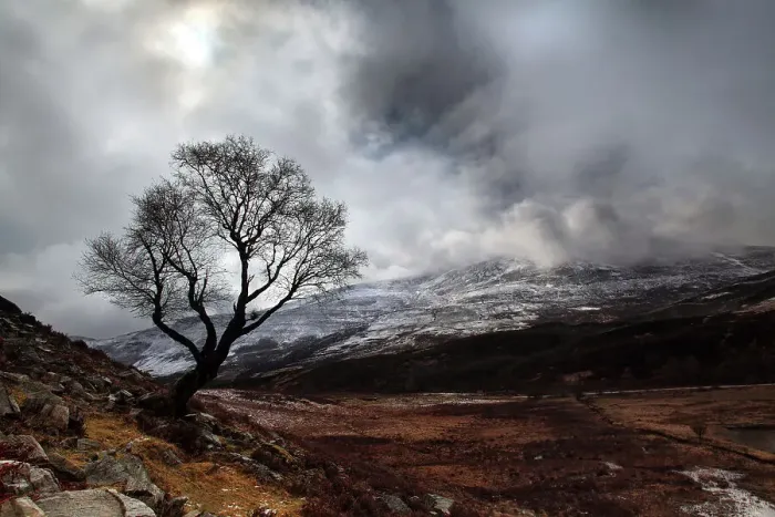 Framed Print : Schiehallion Mountain, Lone Tree Framed Print : Schiehallion Mountain, Lone Tree