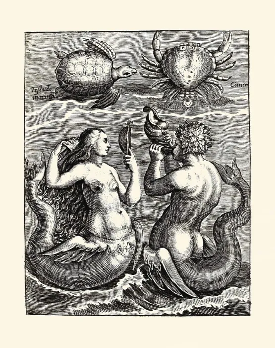 Framed Print : Schildpad, krab, zeemeermin en zeemeerman