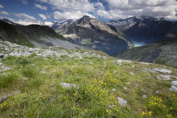 Framed Print : Schlegeisspeicher reservoir and Zillertal Alps, Ginzling, Tyrol, Austria