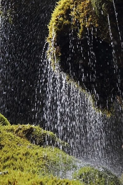 Schleierfalle falls, Ammerschlucht gorge, Upper Bavaria, Germany, Europe