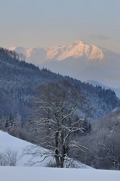 Schneeberg mountain, Jagasitz, Lower Austria, Austria, Europe