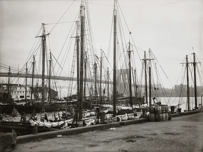 Framed Print : Schooners At South Street Seaport Framed Print : Schooners At South Street Seaport