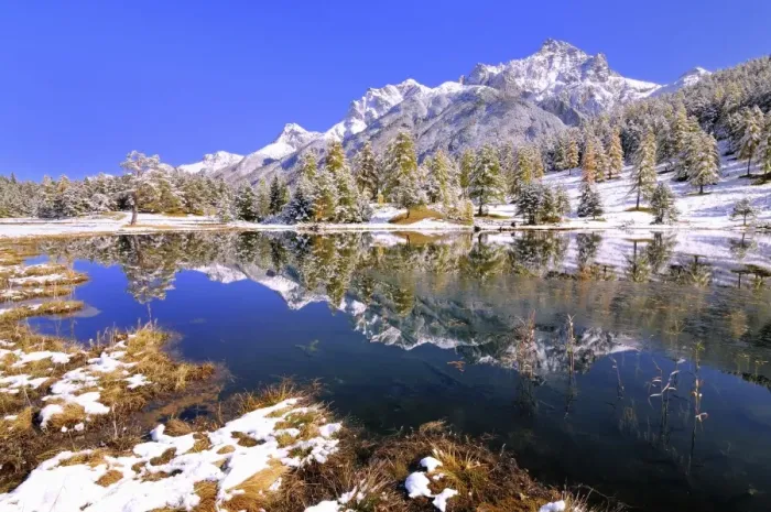 Framed Print : Schwarzsee or Lai Nair with snow-covered larch forest, Tarasp, Engadin, Graubunden, Switzerland Framed Print : Schwarzsee or Lai Nair with snow-covered larch forest, Tarasp, Engadin, Graubunden, Switzerland