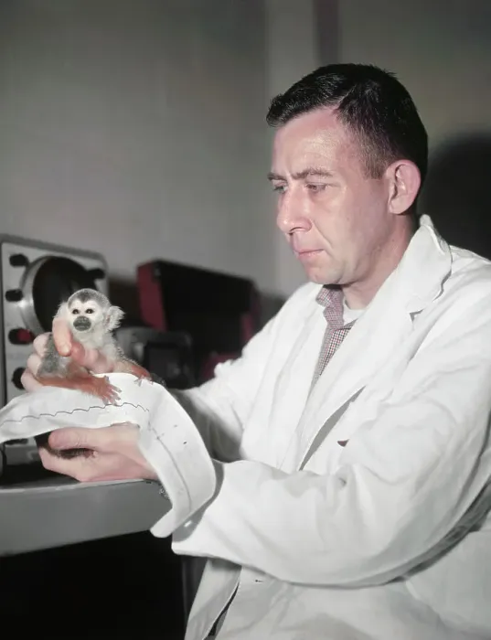 Framed Print : Scientist Holding Squirrel Monkey Framed Print : Scientist Holding Squirrel Monkey