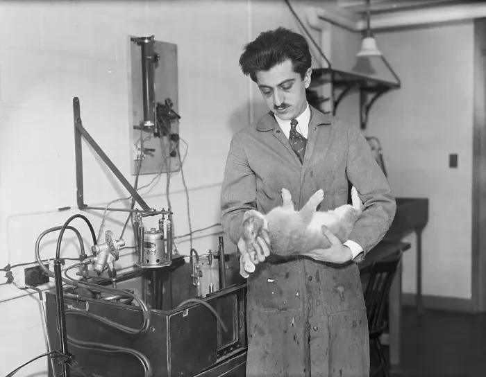 Framed Print : Scientist Immobilizing Rabbit in Lab Framed Print : Scientist Immobilizing Rabbit in Lab