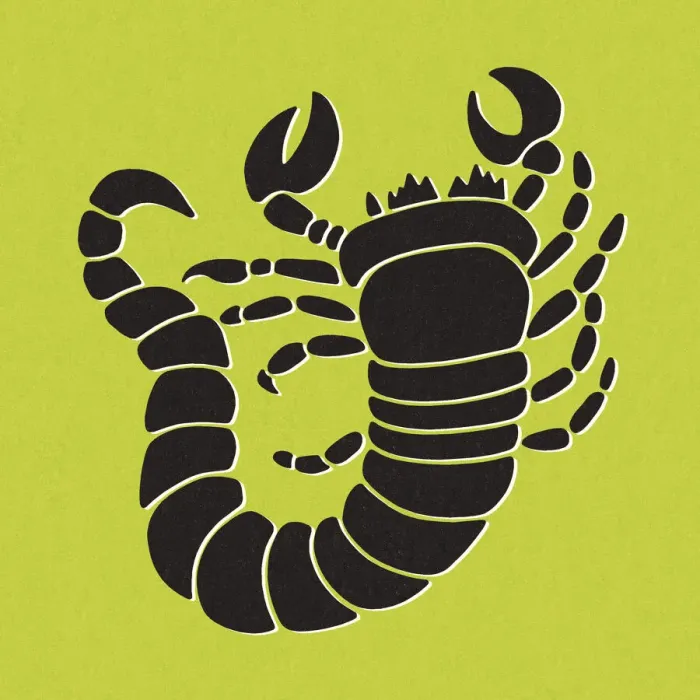 Framed Print : Scorpio Framed Print : Scorpio