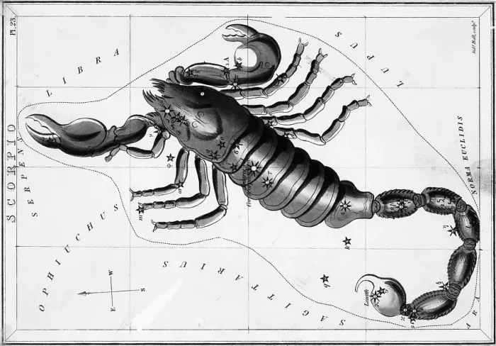 Framed Print : Scorpio Constellation Illustrated on Star Map Framed Print : Scorpio Constellation Illustrated on Star Map