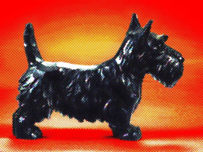 Framed Print : Scottie Dog