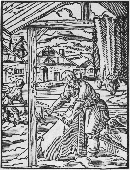 Framed Print : Scraping Hide Framed Print : Scraping Hide