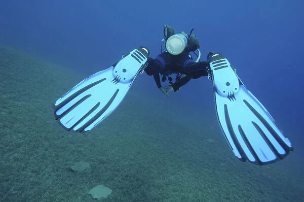 Scuba diver swimming above seabed, rear view