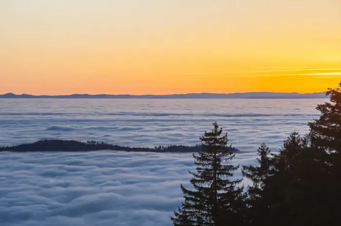 Framed Print : Sea of ??clouds, forest, Seebach, Nordschwarzwald, Schwarzwald, Baden-Wurttemberg, Germany Framed Print : Sea of ??clouds, forest, Seebach, Nordschwarzwald, Schwarzwald, Baden-Wurttemberg, Germany