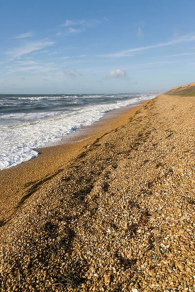Sea coast, Milford on Sea, Hampshire, England, United Kingdom