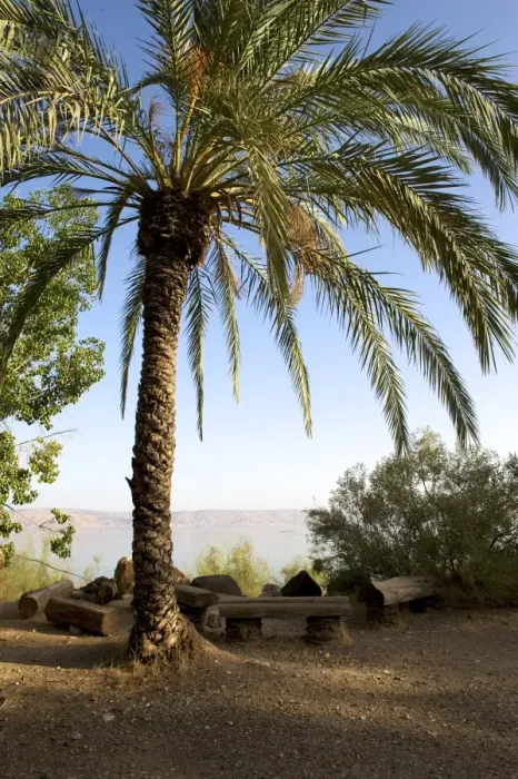Framed Print : Sea of Galilee, also Kinneret, Lake of Gennesaret, or Lake Tiberias, Israel, Middle East Framed Print : Sea of Galilee, also Kinneret, Lake of Gennesaret, or Lake Tiberias, Israel, Middle East