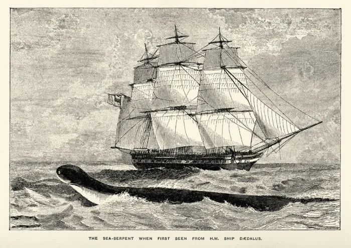Framed Print : Sea monster - Sea-serpent seen from HMS Daedalus Framed Print : Sea monster - Sea-serpent seen from HMS Daedalus